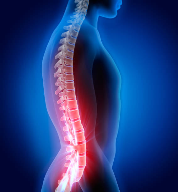 Back Relief & Support